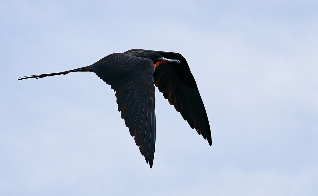Ecuador And The Galapagos Islands Tours