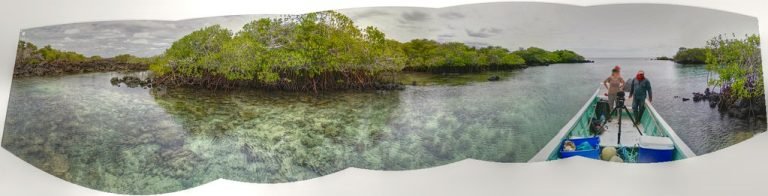 Galapagos Islands Tours From Guayaquil
